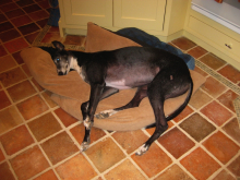 Ella