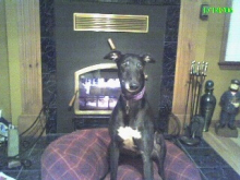 Jack