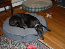 Meggie