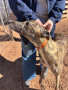 Kane-farm-2