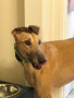 Stormy-foster-2