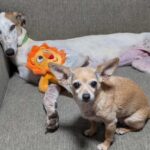 thumbnail_IMG_3126